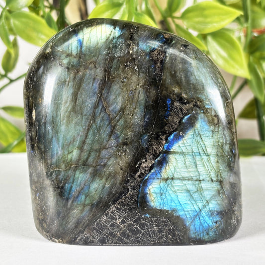 Polished Labradorite Freeform Flashy Blue & Gold Madagascar Crystal Specimen