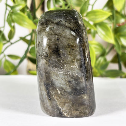 Polished Labradorite Freeform Flashy Blue & Gold Madagascar Crystal Specimen