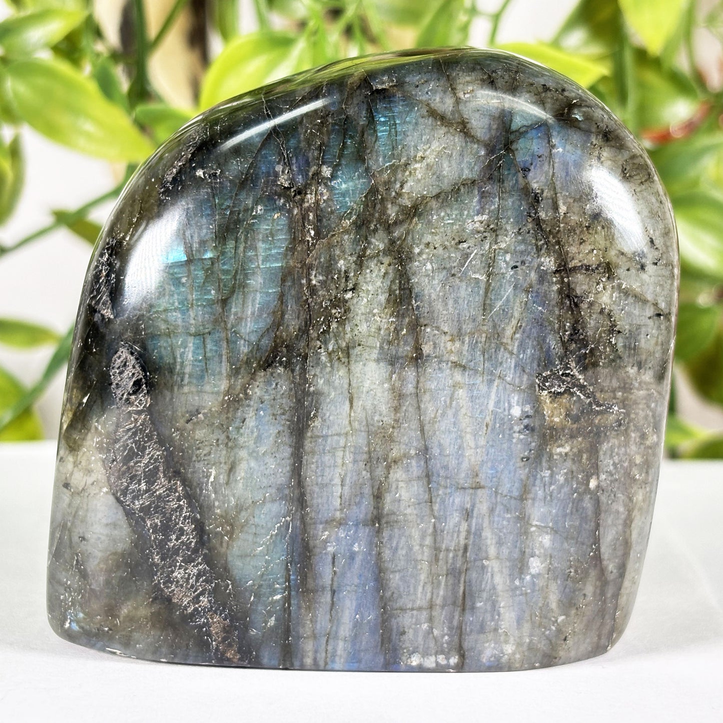 Polished Labradorite Freeform Flashy Blue & Gold Madagascar Crystal Specimen