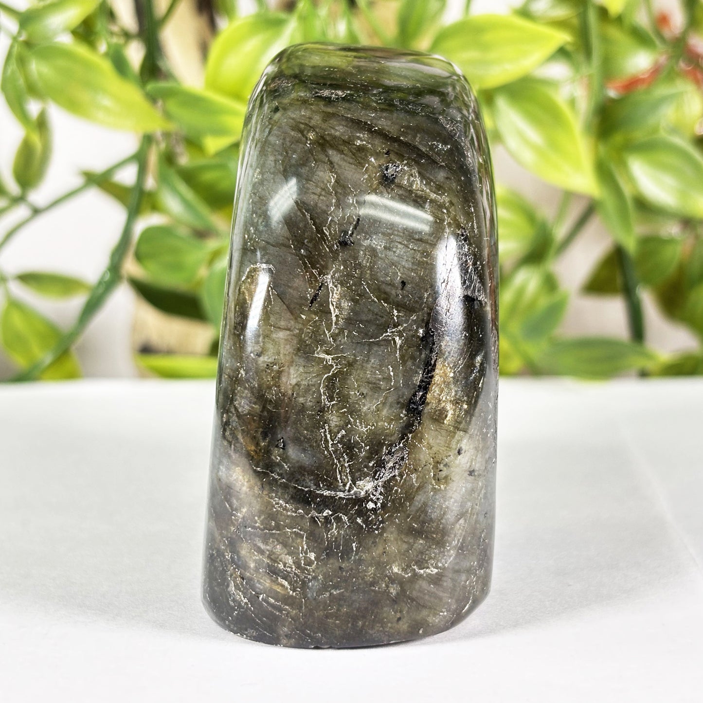 Polished Labradorite Freeform Flashy Blue & Gold Madagascar Crystal Specimen