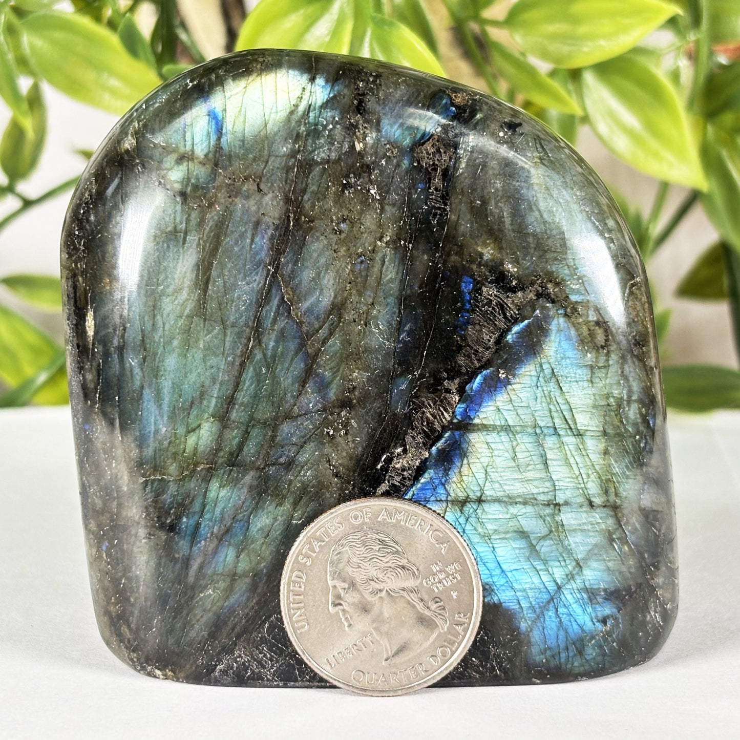 Polished Labradorite Freeform Flashy Blue & Gold Madagascar Crystal Specimen