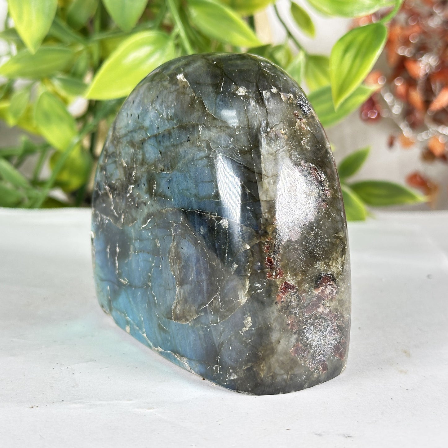 Labradorite Crystal Freeform - Gem Avenue Retail