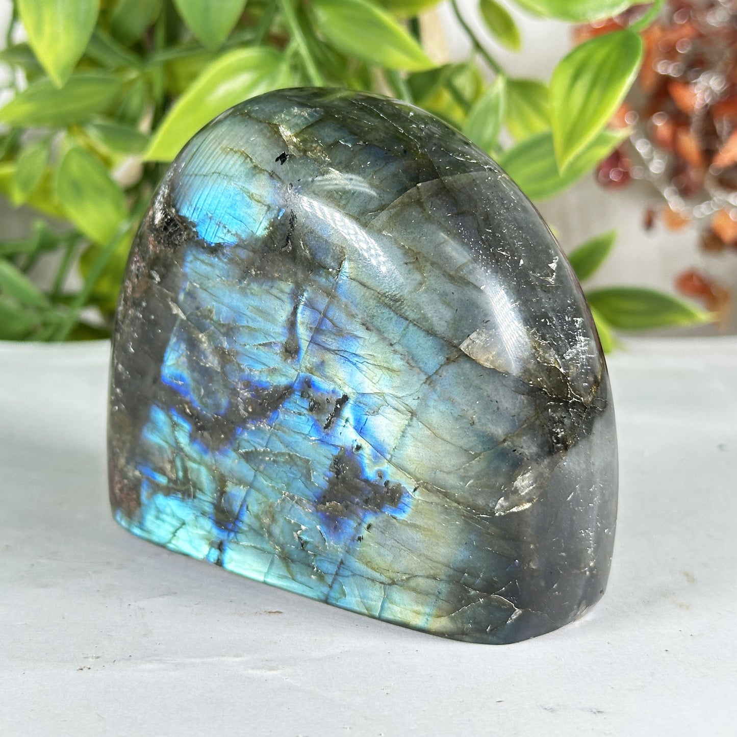 Labradorite Crystal Freeform - Gem Avenue Retail