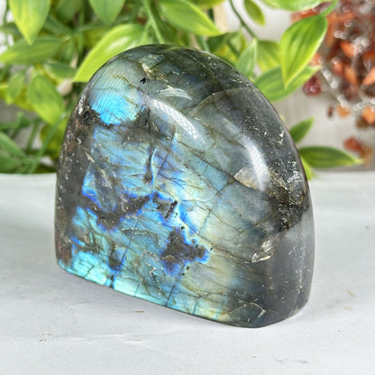Labradorite Crystal Freeform - Gem Avenue Retail
