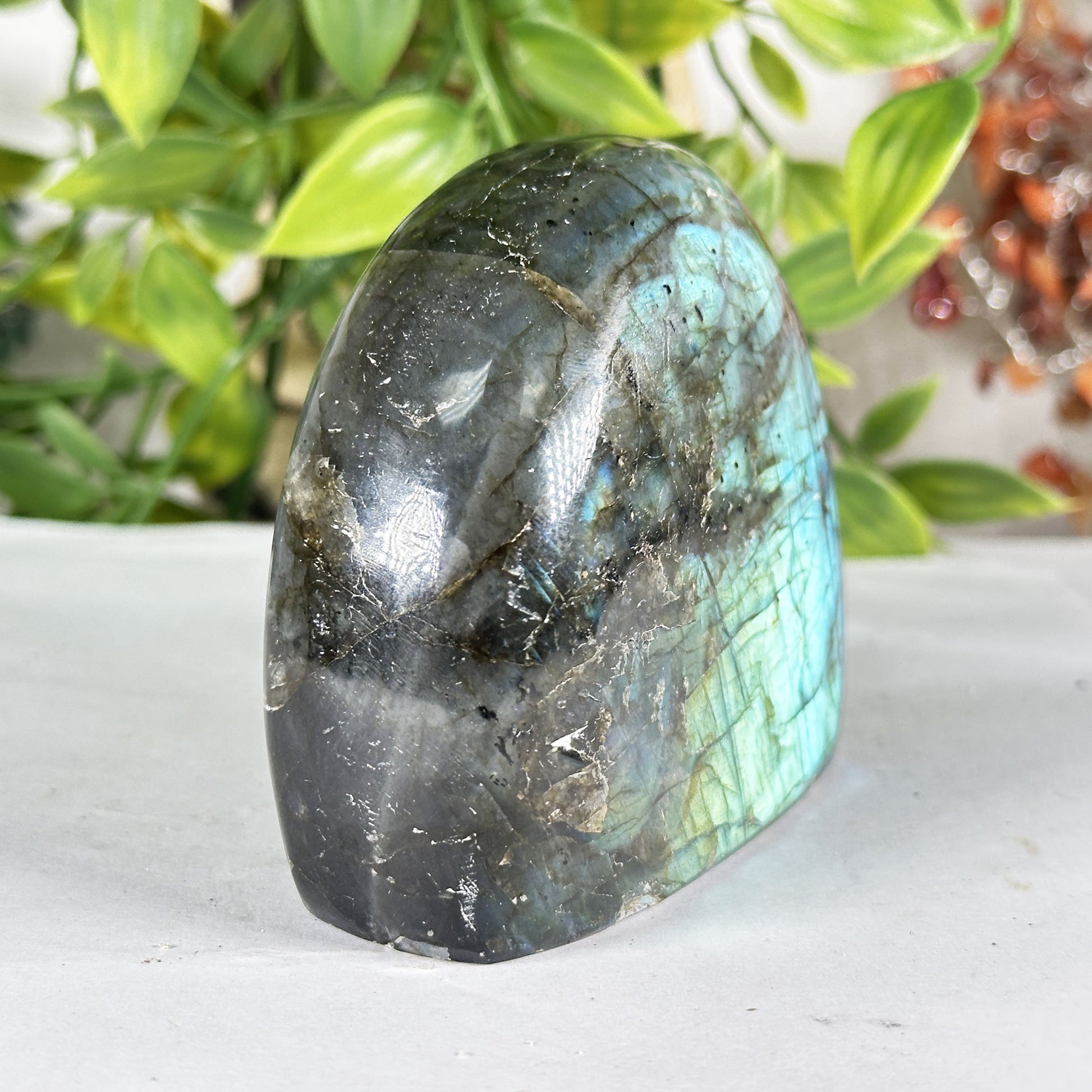 Labradorite Crystal Freeform - Gem Avenue Retail