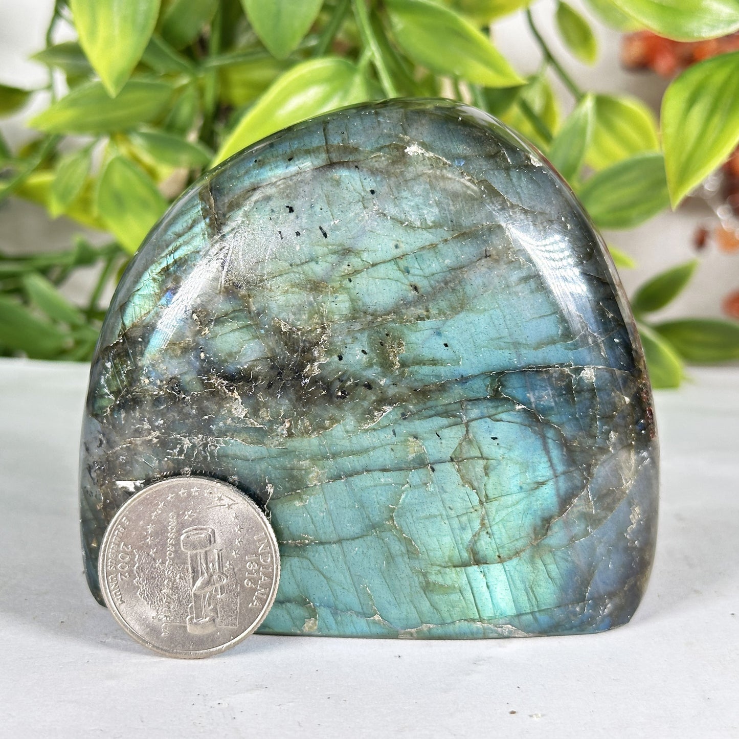 Labradorite Crystal Freeform - Gem Avenue Retail