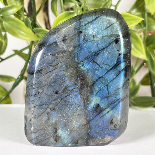 Madagascar Labradorite Polished Freeform 3" Blue Flash Crystal Specimen