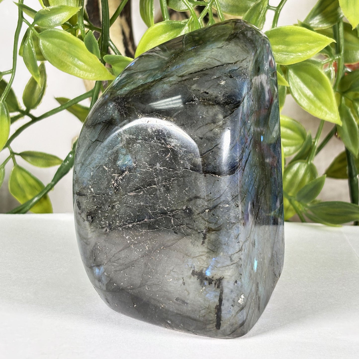 Madagascar Labradorite Polished Freeform 3" Blue Flash Crystal Specimen
