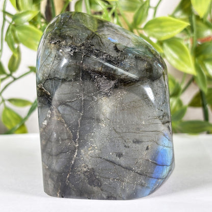 Madagascar Labradorite Polished Freeform 3" Blue Flash Crystal Specimen