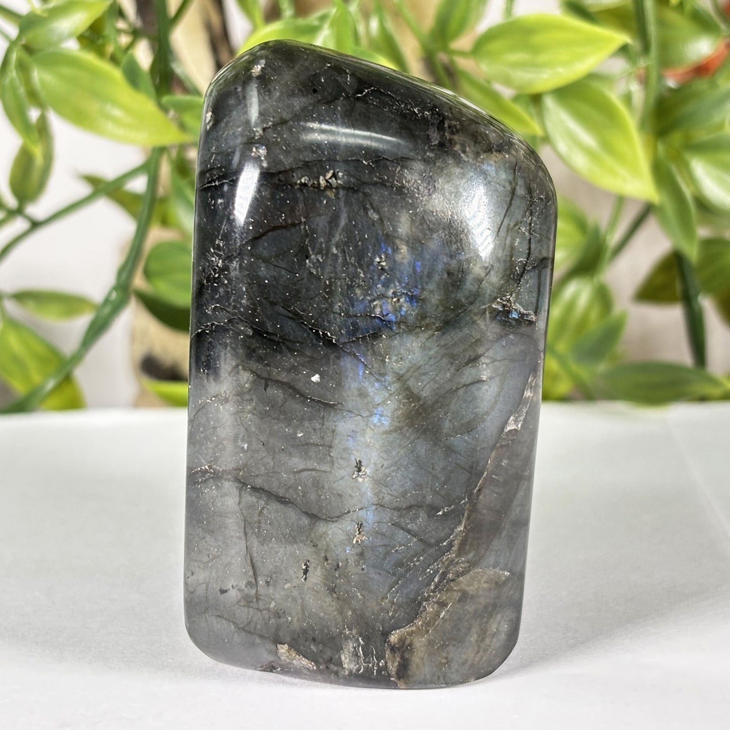 Madagascar Labradorite Polished Freeform 3" Blue Flash Crystal Specimen