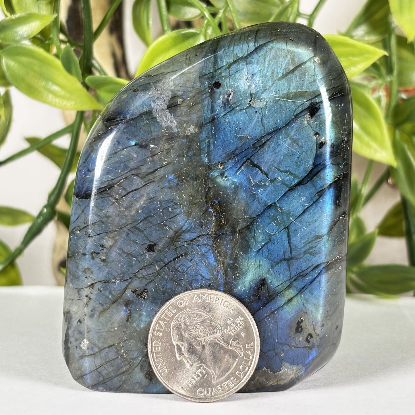 Madagascar Labradorite Polished Freeform 3" Blue Flash Crystal Specimen