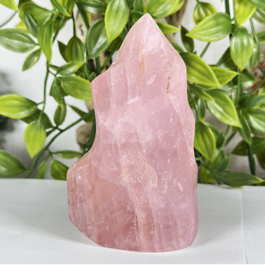 Rose Quartz Crystal Freeform - Gem Avenue Retail