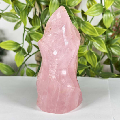Rose Quartz Crystal Freeform - Gem Avenue Retail