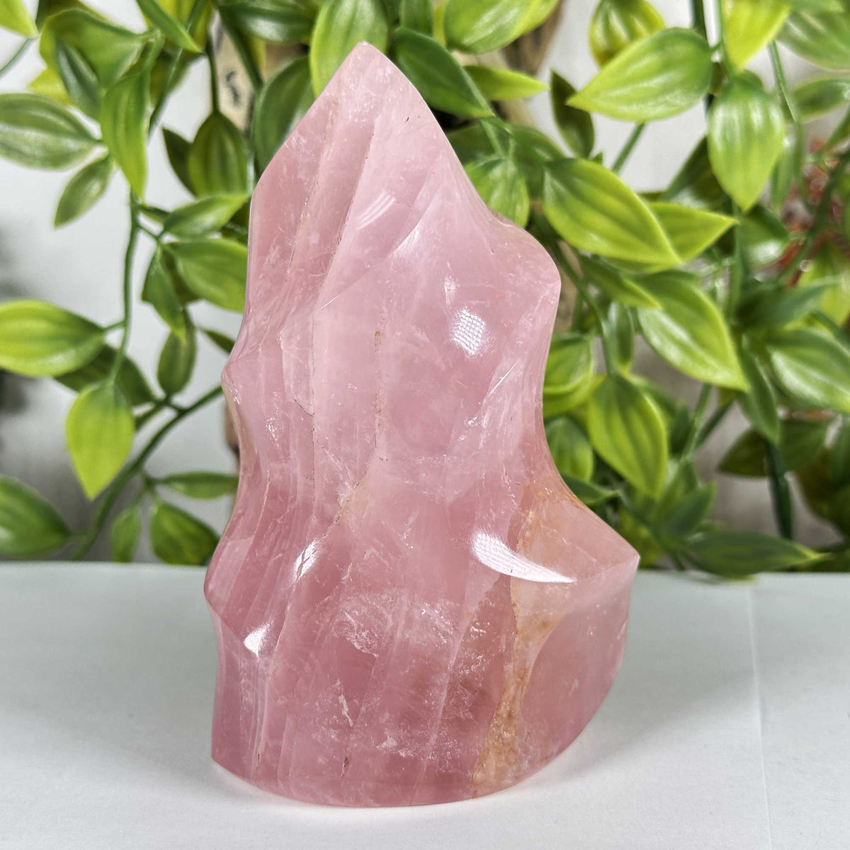 Rose Quartz Crystal Freeform - Gem Avenue Retail