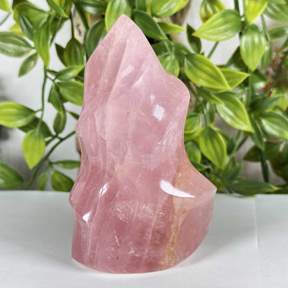 Rose Quartz Crystal Freeform - Gem Avenue Retail