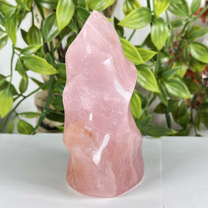 Rose Quartz Crystal Freeform - Gem Avenue Retail