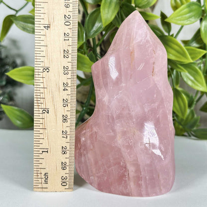 Rose Quartz Crystal Freeform - Gem Avenue Retail