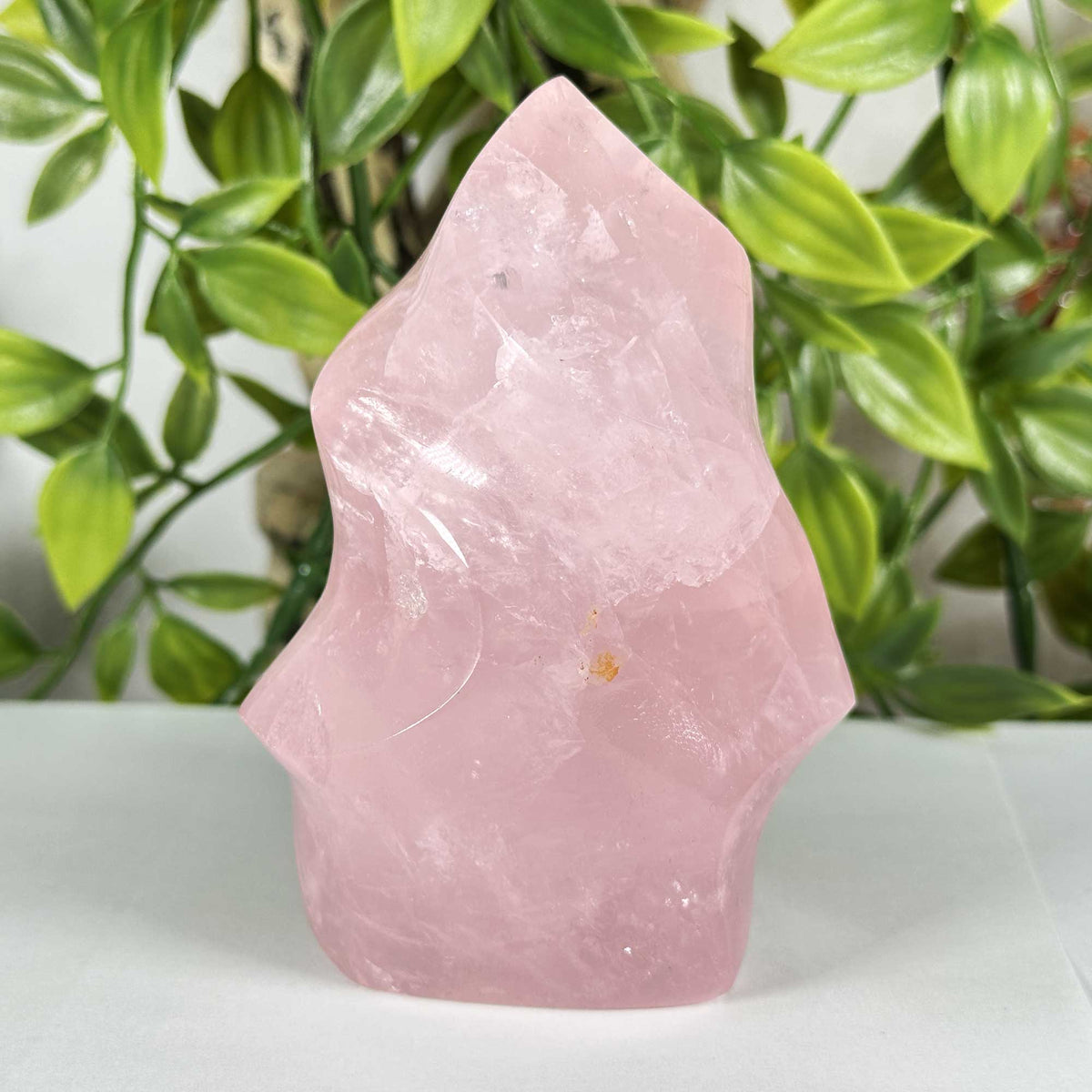 Rose Quartz Crystal Freeform - Gem Avenue Retail