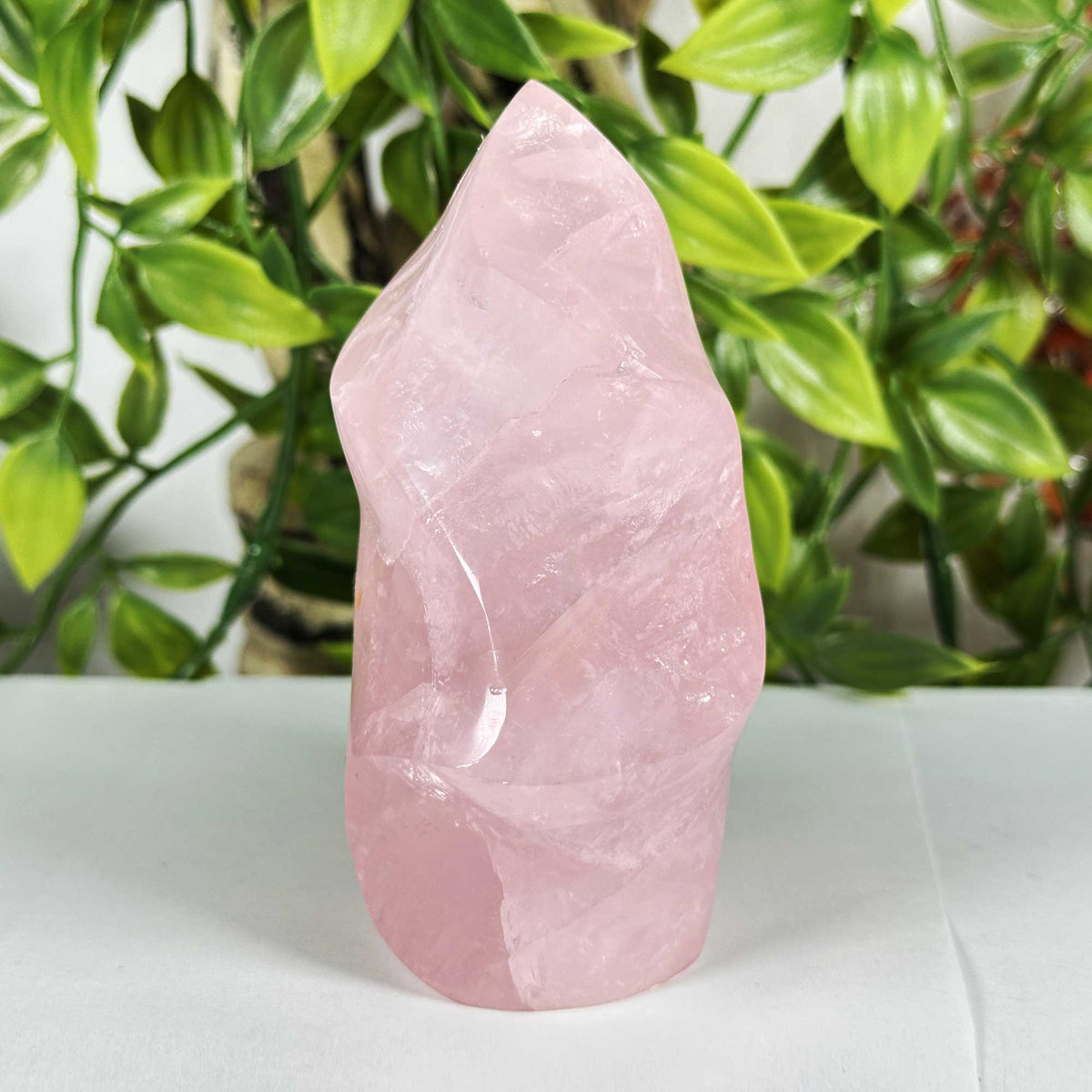 Rose Quartz Crystal Freeform - Gem Avenue Retail