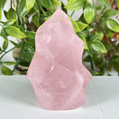 Rose Quartz Crystal Freeform - Gem Avenue Retail