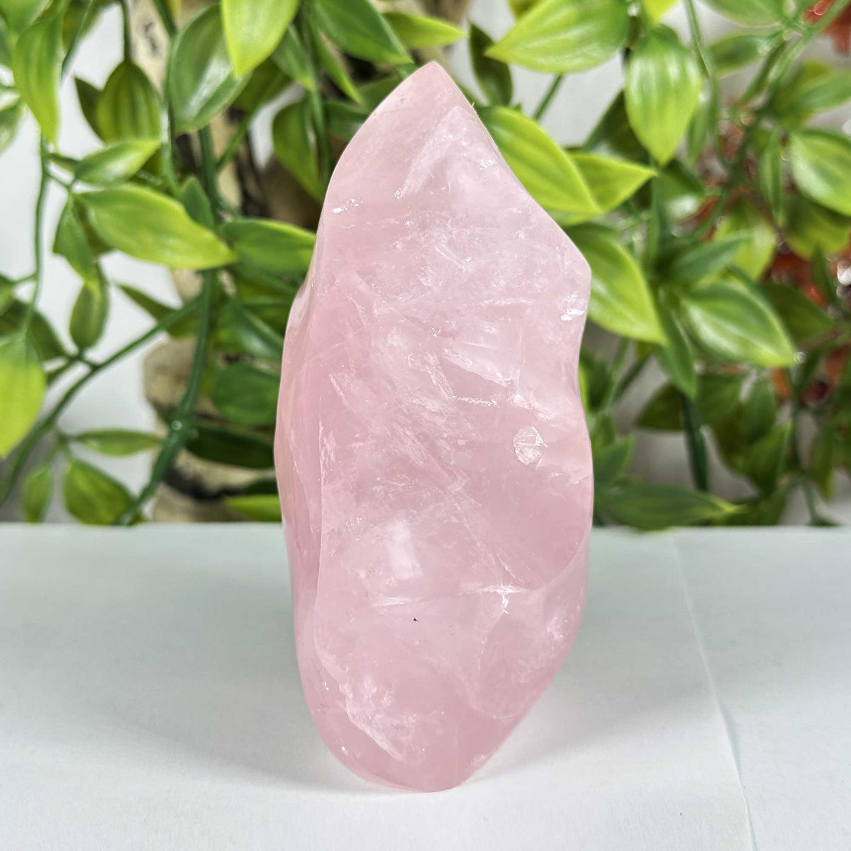 Rose Quartz Crystal Freeform - Gem Avenue Retail