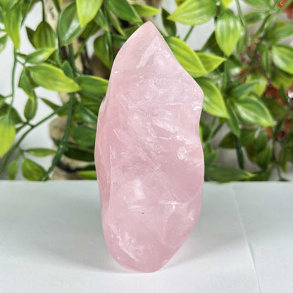 Rose Quartz Crystal Freeform - Gem Avenue Retail