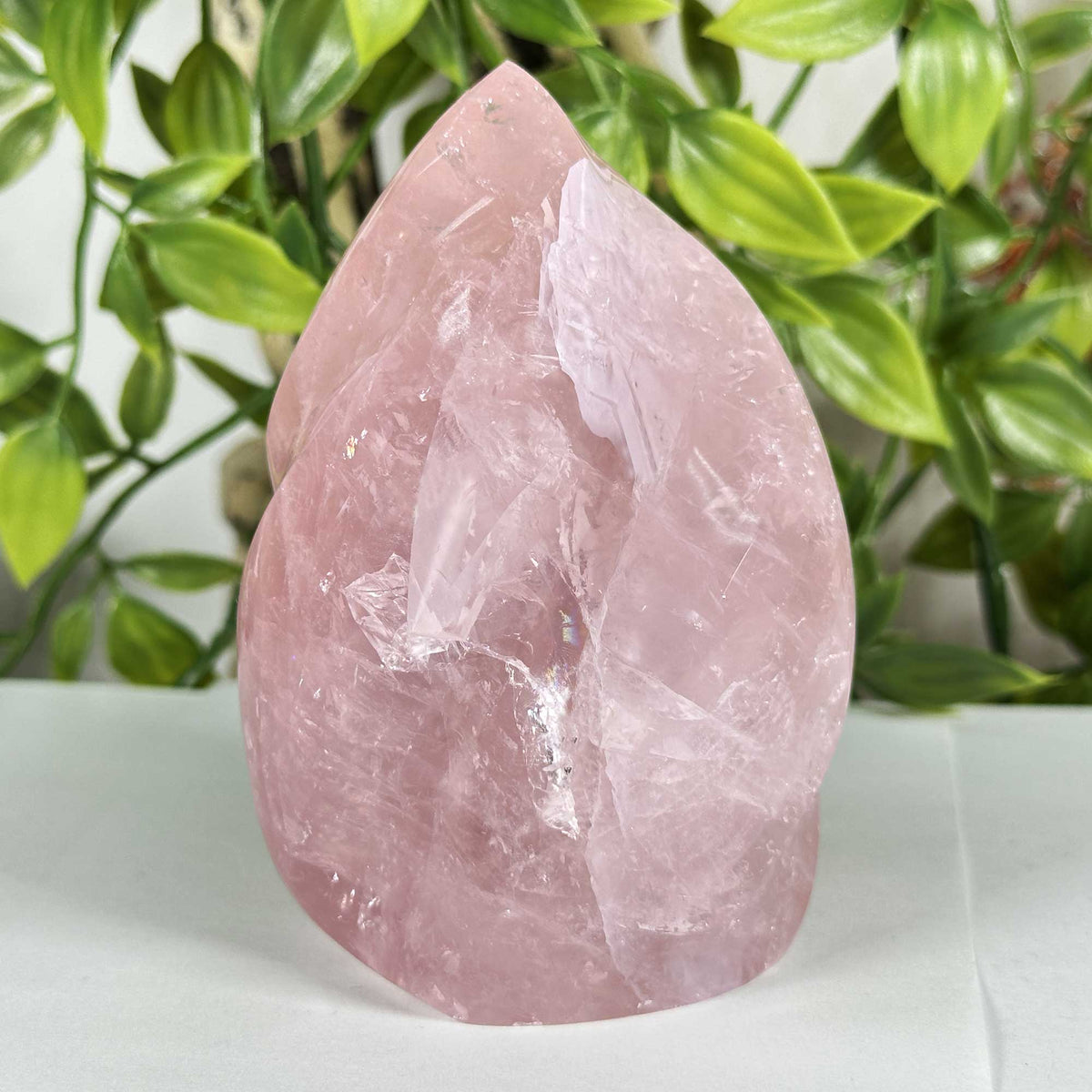Rose Quartz Crystal Freeform - Gem Avenue Retail