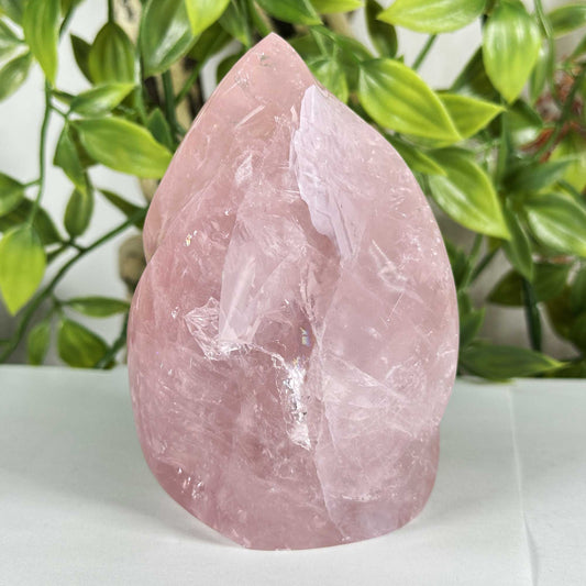 Rose Quartz Crystal Freeform - Gem Avenue Retail