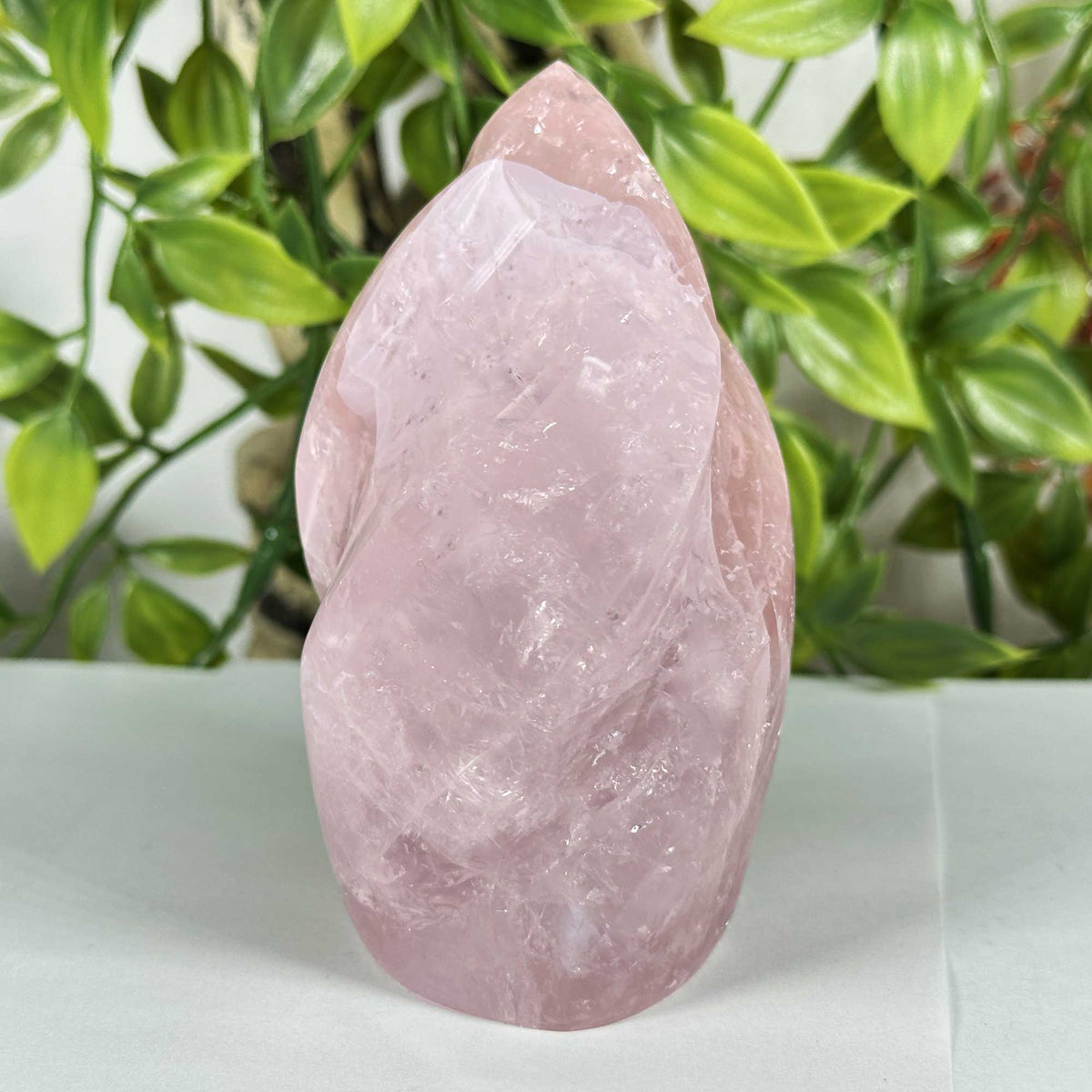 Rose Quartz Crystal Freeform - Gem Avenue Retail