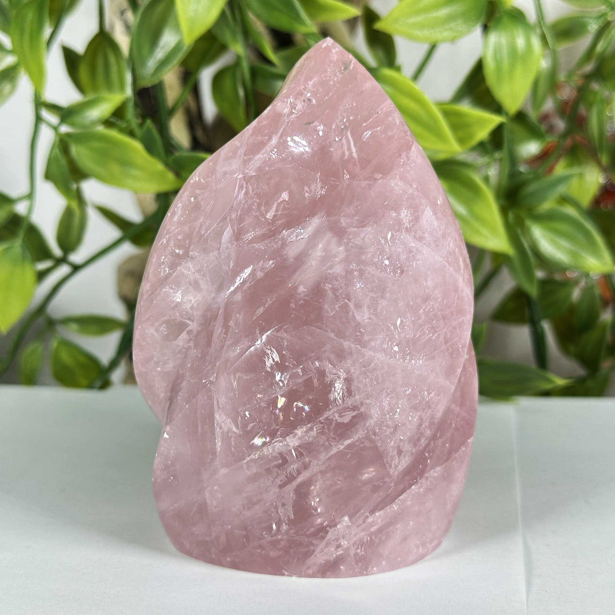 Rose Quartz Crystal Freeform - Gem Avenue Retail