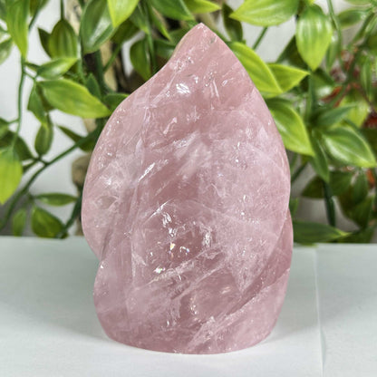 Rose Quartz Crystal Freeform - Gem Avenue Retail
