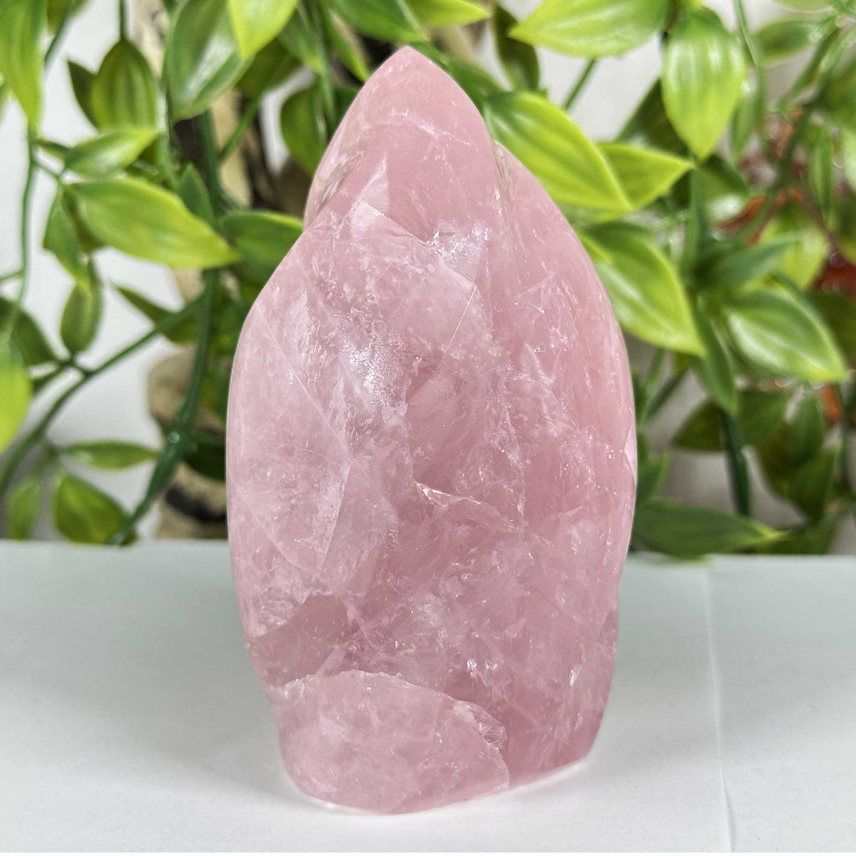 Rose Quartz Crystal Freeform - Gem Avenue Retail