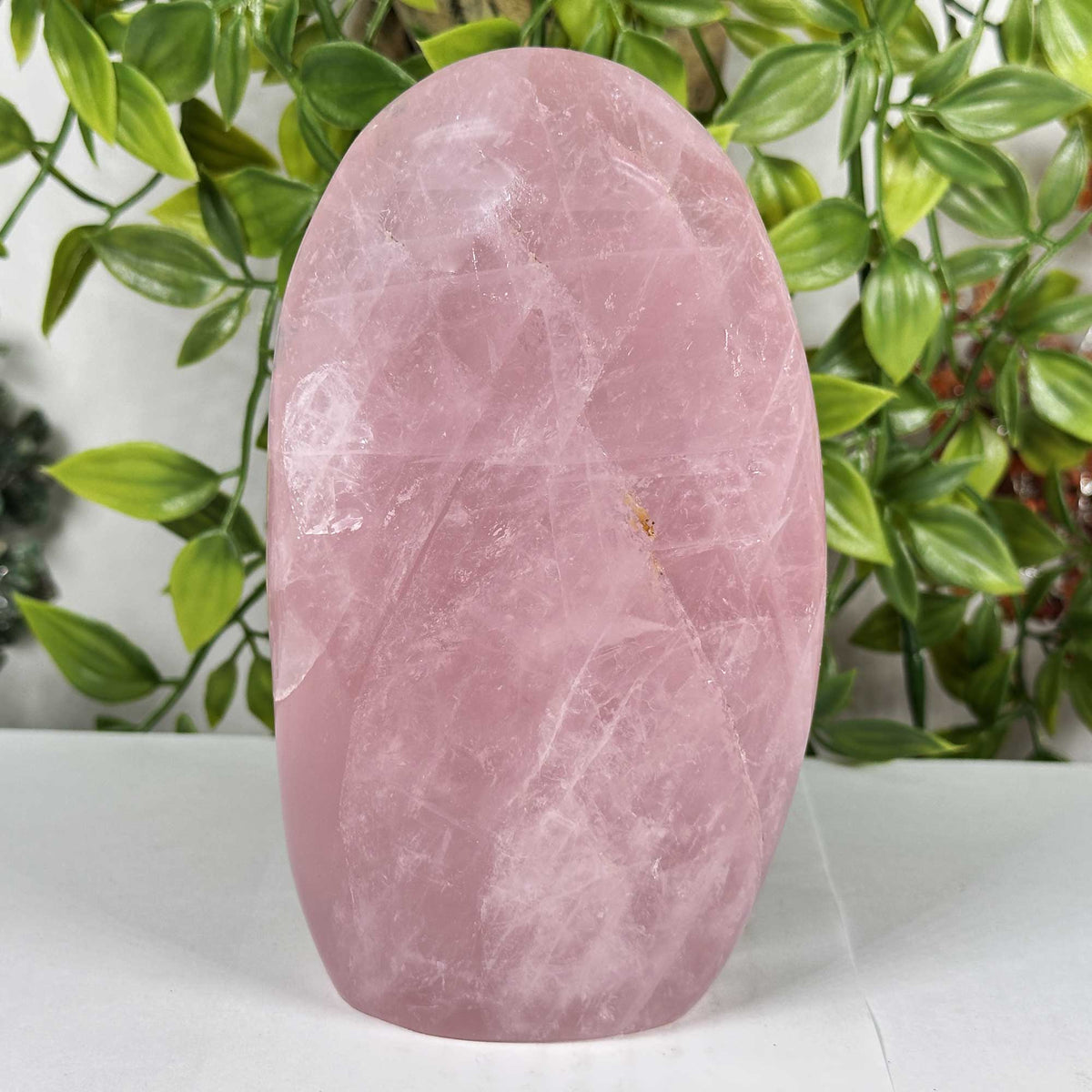 Rose Quartz Crystal Freeform - Gem Avenue Retail