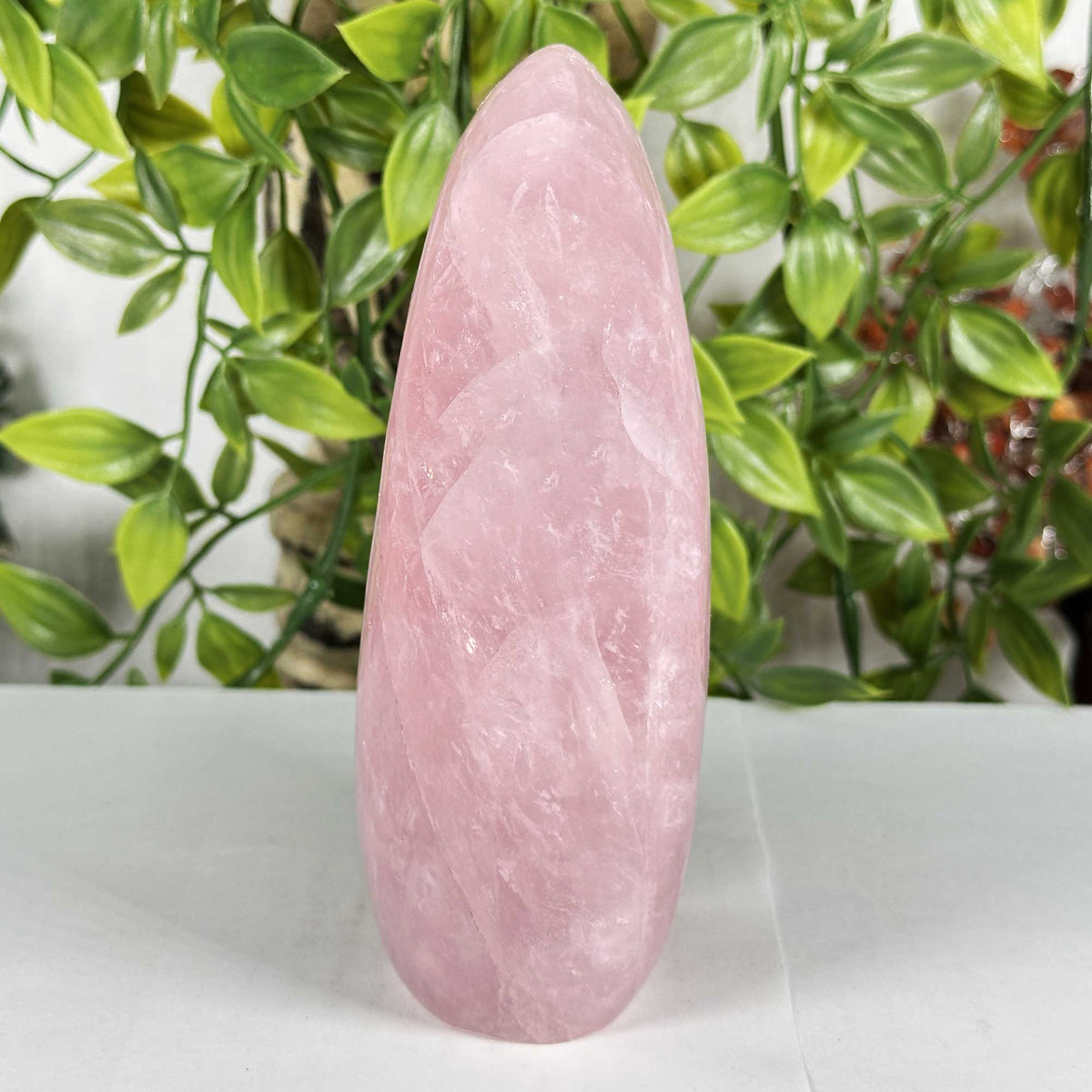 Rose Quartz Crystal Freeform - Gem Avenue Retail