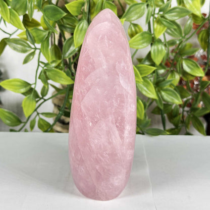 Rose Quartz Crystal Freeform - Gem Avenue Retail