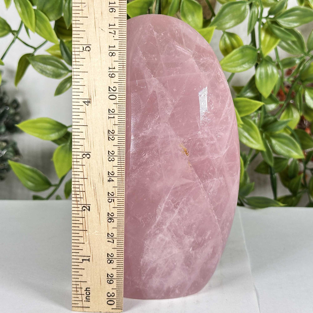 Rose Quartz Crystal Freeform - Gem Avenue Retail