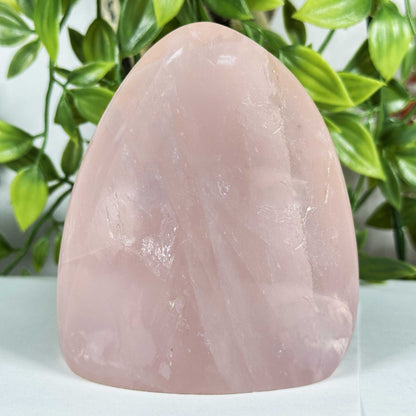 Rose Quartz Crystal Freeform - Gem Avenue Retail