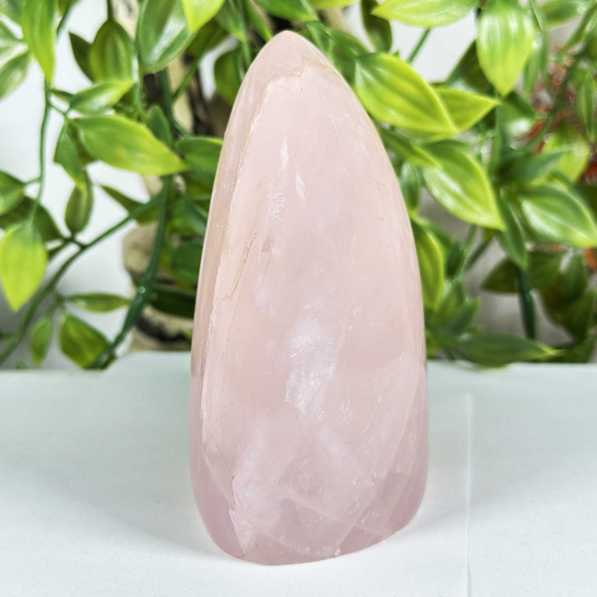 Rose Quartz Crystal Freeform - Gem Avenue Retail