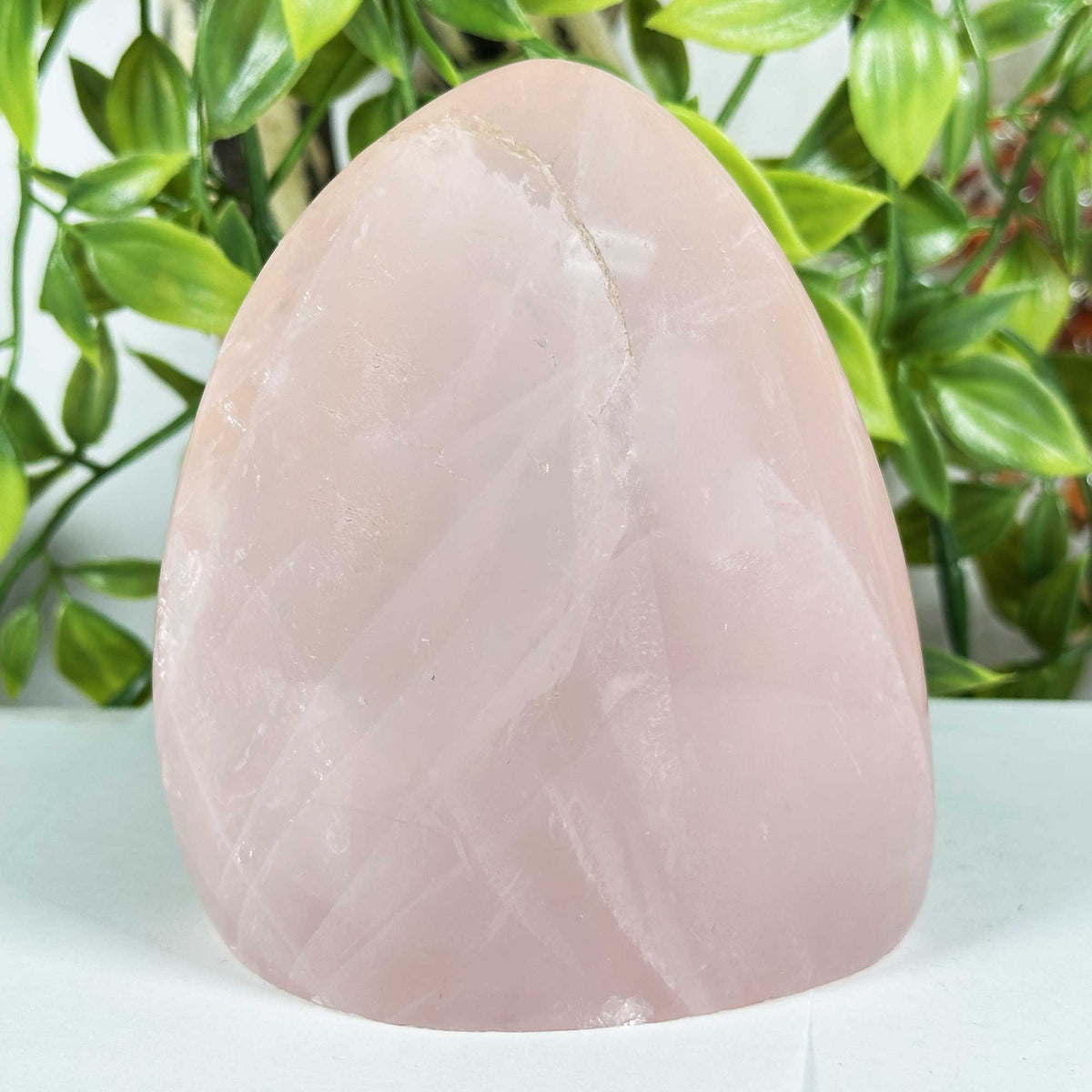 Rose Quartz Crystal Freeform - Gem Avenue Retail