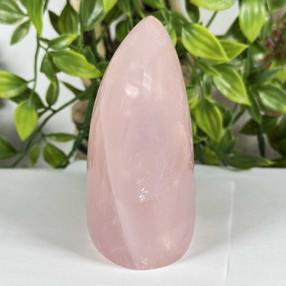 Rose Quartz Crystal Freeform - Gem Avenue Retail