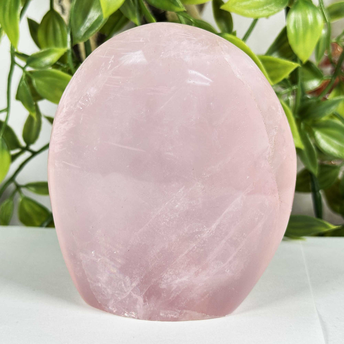 Rose Quartz Crystal Freeform - Gem Avenue Retail