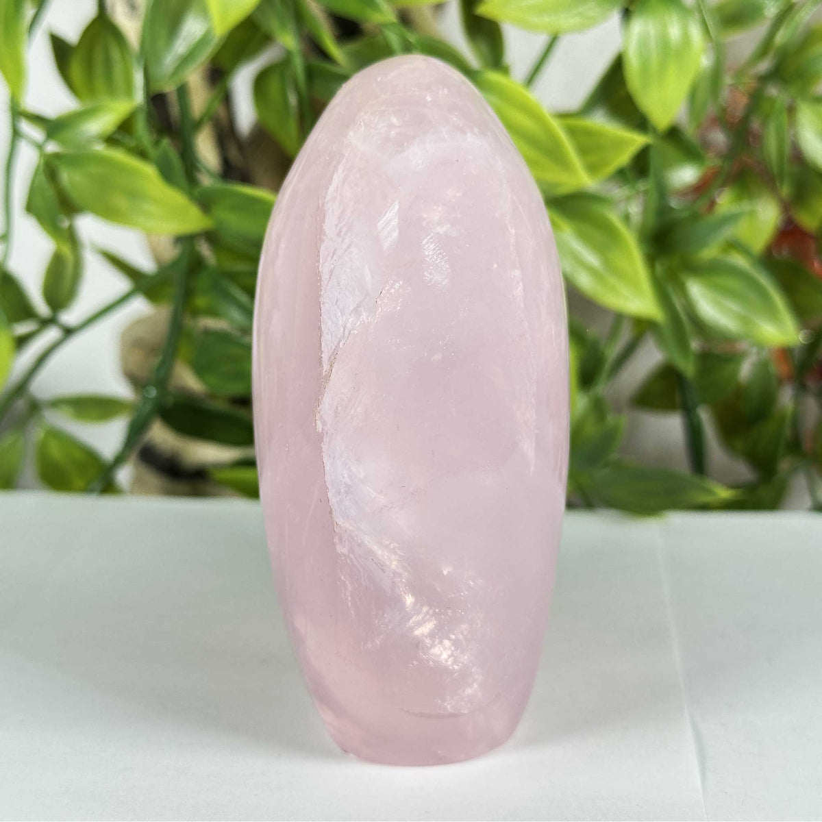 Rose Quartz Crystal Freeform - Gem Avenue Retail