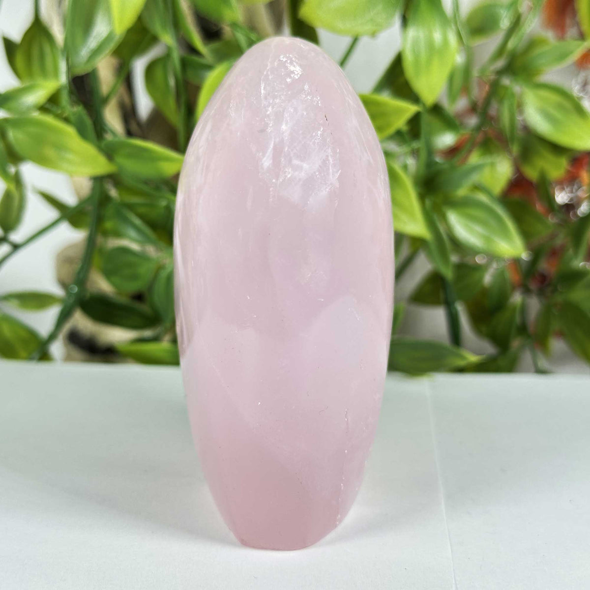 Rose Quartz Crystal Freeform - Gem Avenue Retail