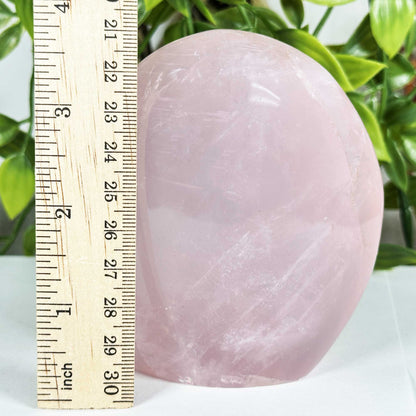 Rose Quartz Crystal Freeform - Gem Avenue Retail