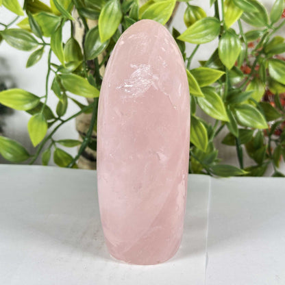 Rose Quartz Crystal Freeform - Gem Avenue Retail