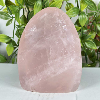 Rose Quartz Crystal Freeform - Gem Avenue Retail