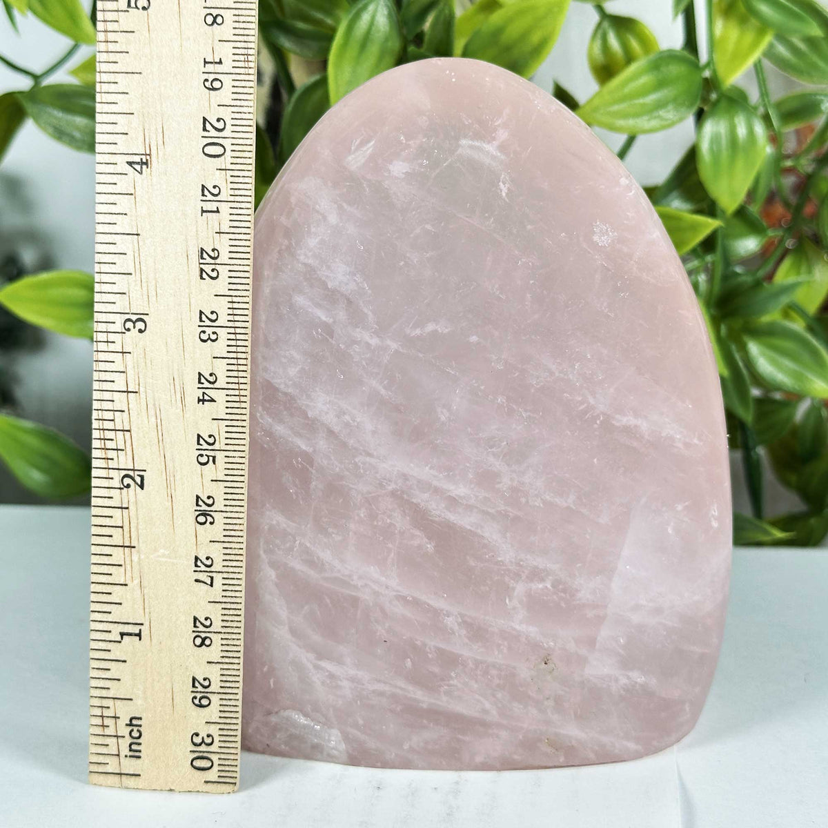 Rose Quartz Crystal Freeform - Gem Avenue Retail