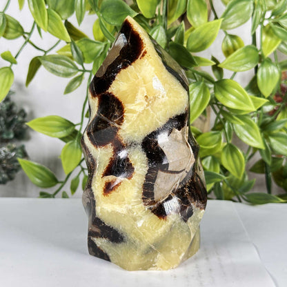 Septarian Crystal Freeform - Gem Avenue Retail