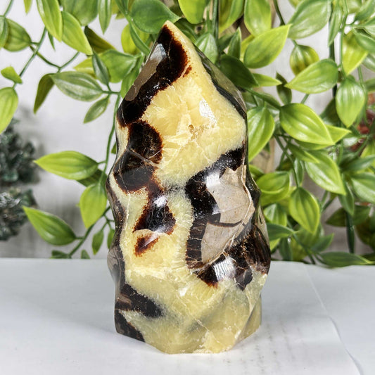 Septarian Crystal Freeform - Gem Avenue Retail