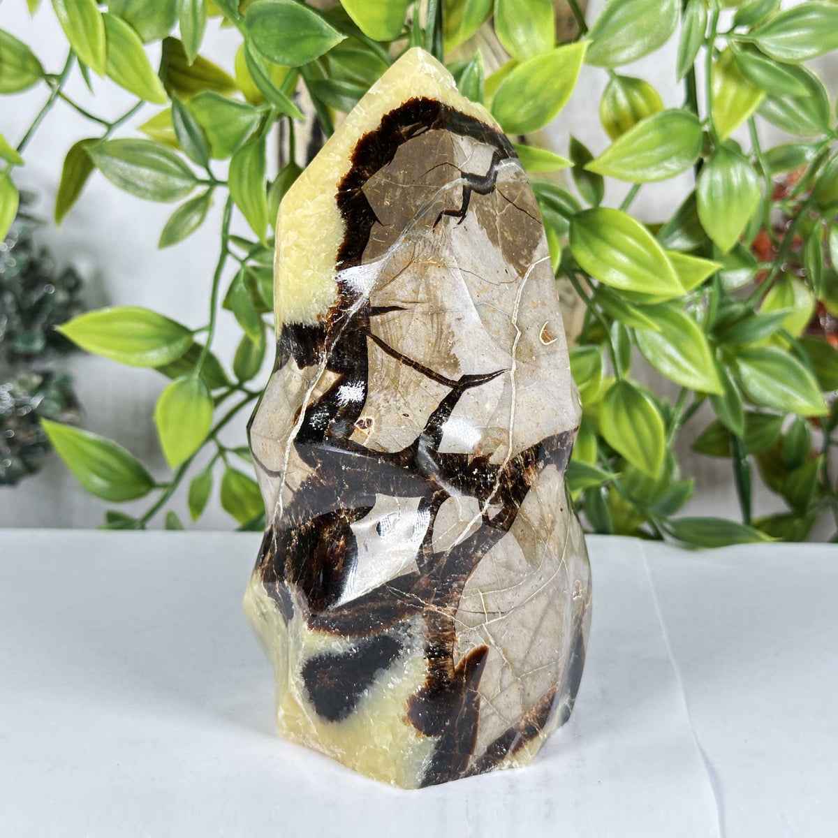 Septarian Crystal Freeform - Gem Avenue Retail